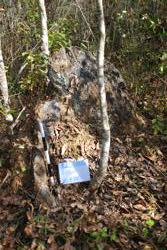 Jar 43010022 Thumbnail