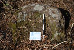 Jar 43020008 Thumbnail