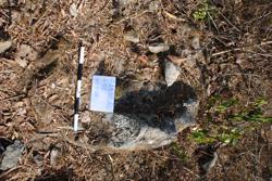 Jar 43020011 Thumbnail