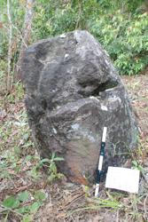Jar 44010001 Thumbnail