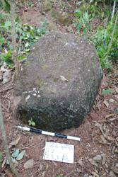 Jar 44010003 Thumbnail