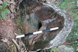 Jar 44020003 Thumbnail