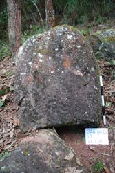 Jar 44020004 Thumbnail