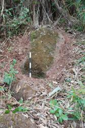 Jar 44020007 Thumbnail