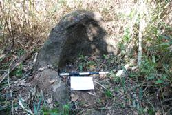 Jar 49010002 Thumbnail