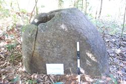 Jar 49010005 Thumbnail