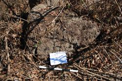 Jar 49010018 Thumbnail