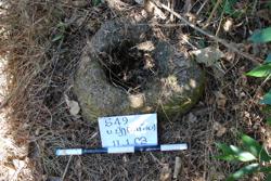 Jar 49010021 Thumbnail