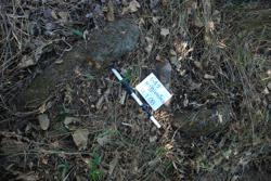 Jar 49010023 Thumbnail