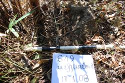 Jar 49010024 Thumbnail