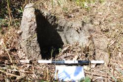 Jar 49010027 Thumbnail