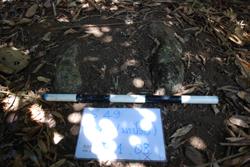 Jar 49010034 Thumbnail