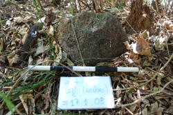 Jar 49010035 Thumbnail