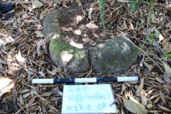 Jar 49010037 Thumbnail