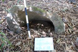 Jar 49010038 Thumbnail