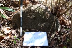 Jar 49010043 Thumbnail