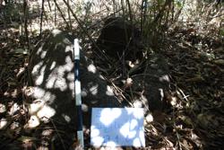 Jar 49010044 Thumbnail