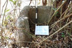 Jar 49010046 Thumbnail