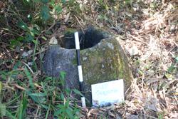 Jar 49010059 Thumbnail