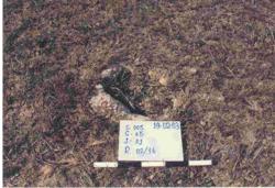Jar 05050001 Thumbnail