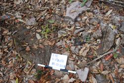 Jar 50010019 Thumbnail