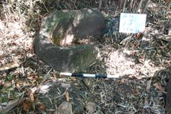 Jar 51010002 Thumbnail