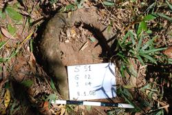 Jar 51020004 Thumbnail