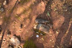 Disc 52010003 Thumbnail