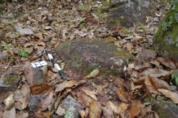 Disc 52010004 Thumbnail