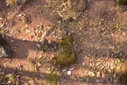Disc 52010006 Thumbnail