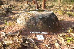 Disc 52010007 Thumbnail