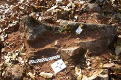 Disc 52010011 Thumbnail