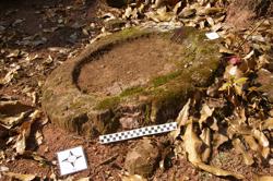 Disc 52010012 Thumbnail