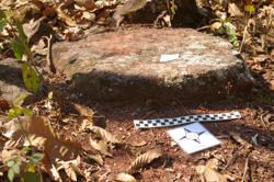 Disc 52010016 Thumbnail