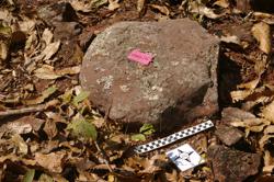 Disc 52010019 Thumbnail