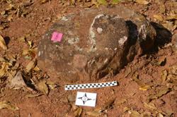 Disc 52010020 Thumbnail