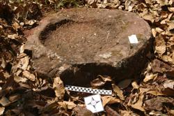 Disc 52010021 Thumbnail