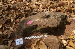 Disc 52010026 Thumbnail