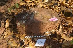 Disc 52010032 Thumbnail