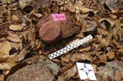 Disc 52010036 Thumbnail