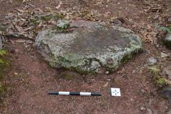 Disc 52010038 Thumbnail