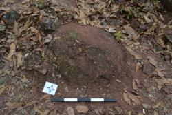 Disc 52010039 Thumbnail