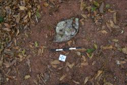 Disc 52010040 Thumbnail
