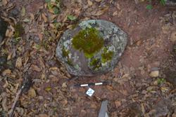 Disc 52010041 Thumbnail