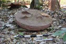 Disc 52010044 Thumbnail