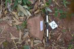 Disc 52020002 Thumbnail