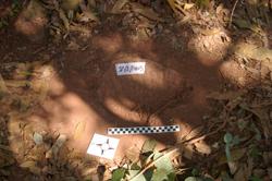 Disc 52020003 Thumbnail