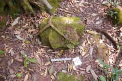 Disc 52020005 Thumbnail