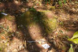 Disc 52020006 Thumbnail