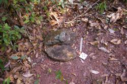 Disc 52020008 Thumbnail